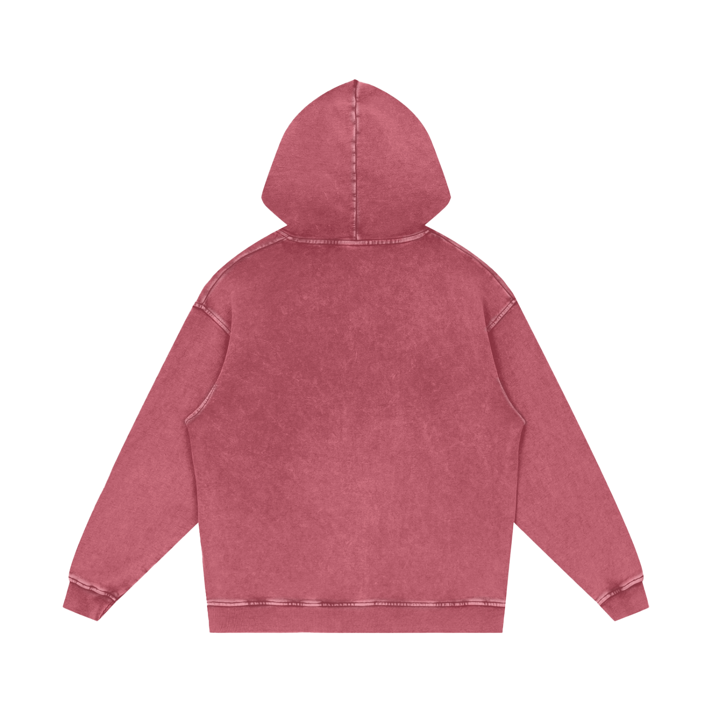 The Snow Washed Logo Hoodie