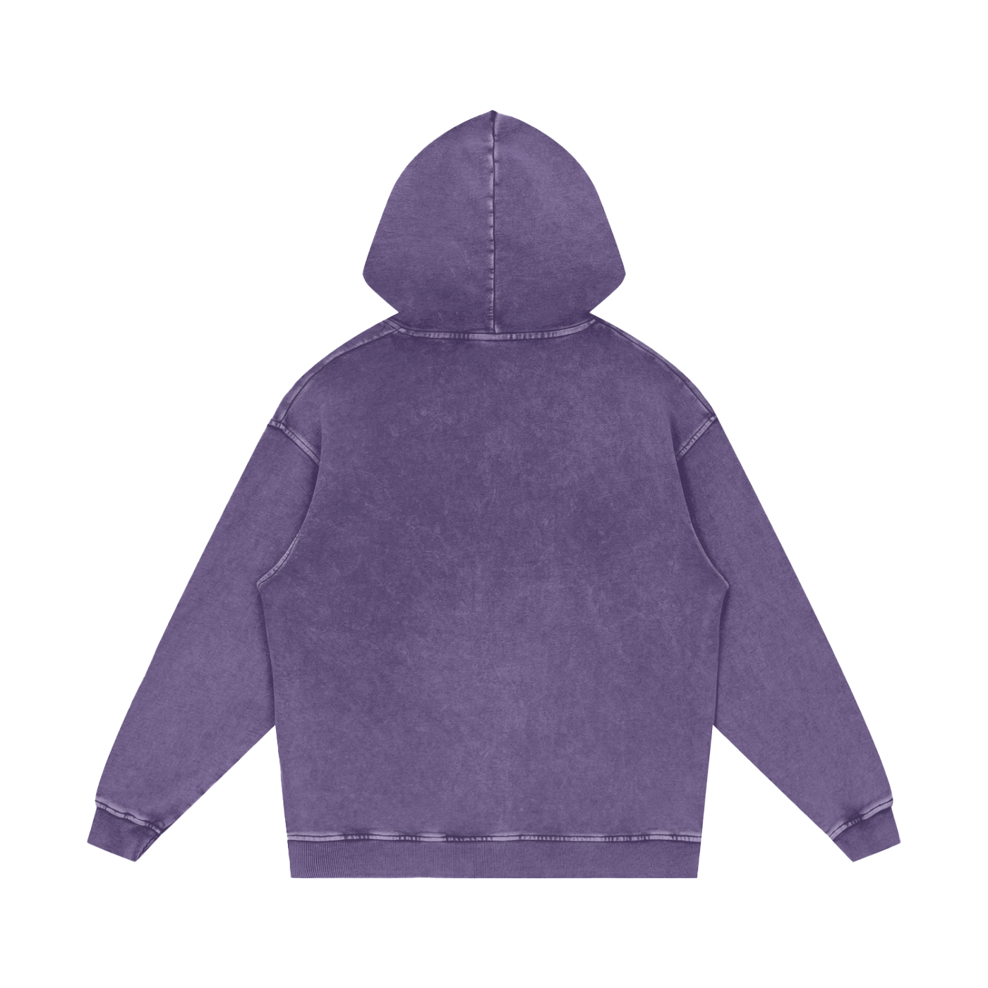 The Snow Washed Logo Hoodie